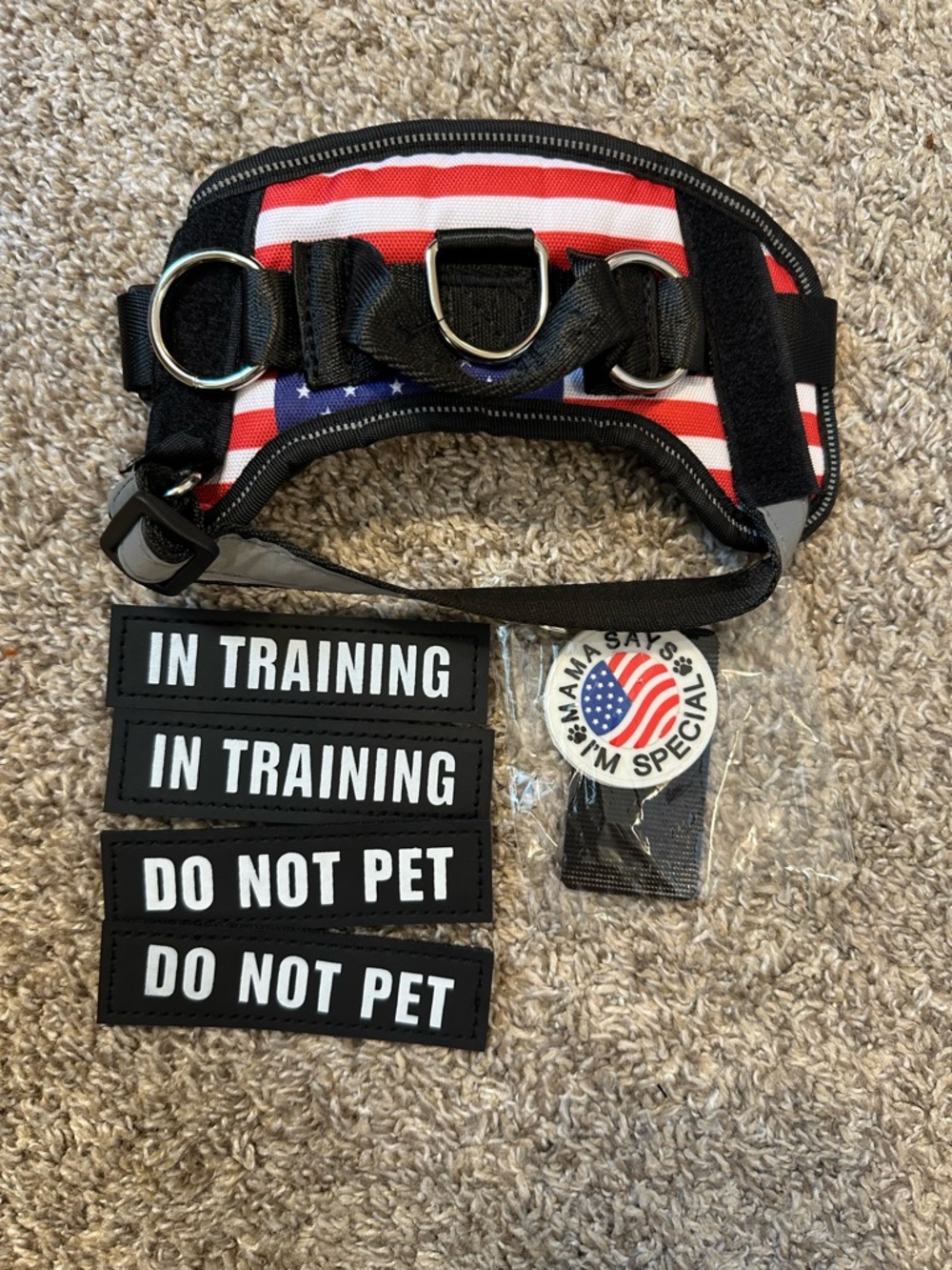 Essential Dog Harness